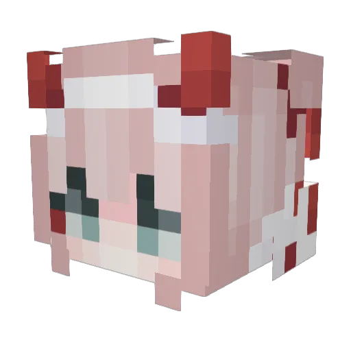 Sunflowerkiwi Minecraft avatar head, 3D render