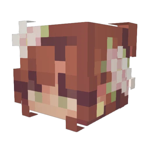 SunflowerrChai Minecraft avatar head, 3D render