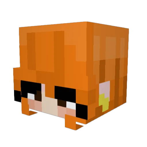 Sunfloweyy Minecraft avatar head, 3D render