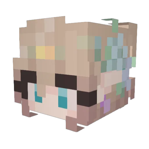 Sunfyre_Flower Minecraft avatar head, 3D render