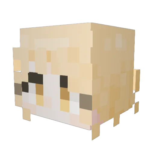 Sung_4 Minecraft avatar head, 3D render