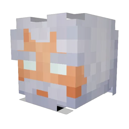 SungamDK Minecraft avatar head, 3D render