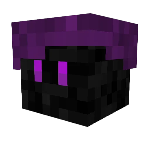 Sungdoughnut315 Minecraft avatar head, 3D render