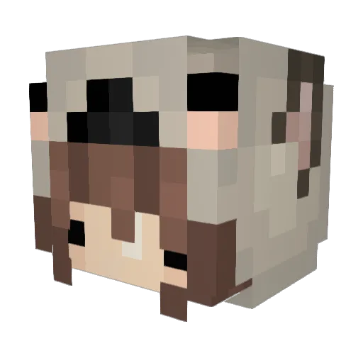 Sungho0n_Fan90 Minecraft avatar head, 3D render