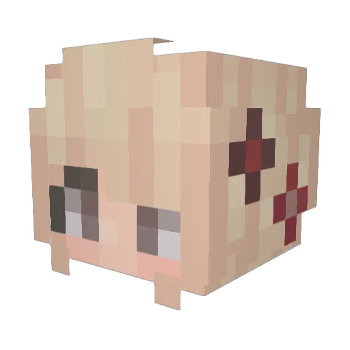 Sunhunterr Minecraft avatar head, 3D render
