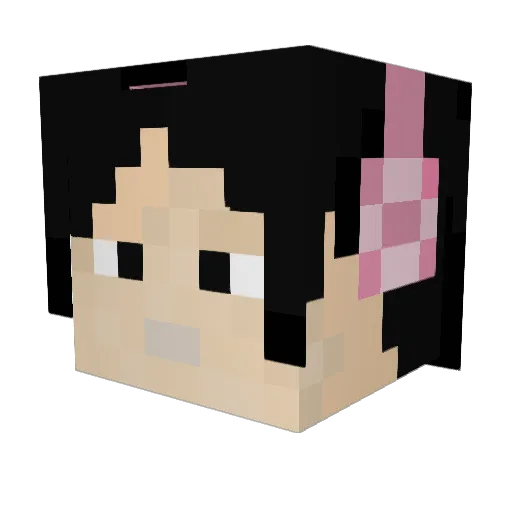 Sunian1 Minecraft avatar head, 3D render