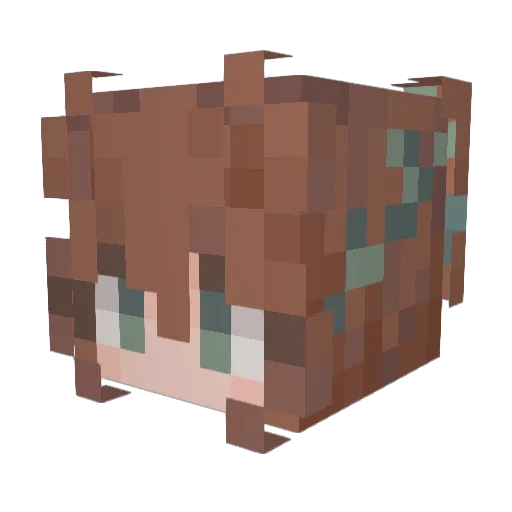 Suninthesky Minecraft avatar head, 3D render