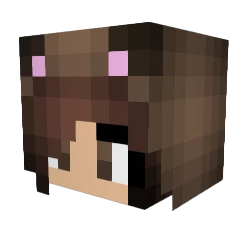 Sunior Minecraft avatar head, 3D render