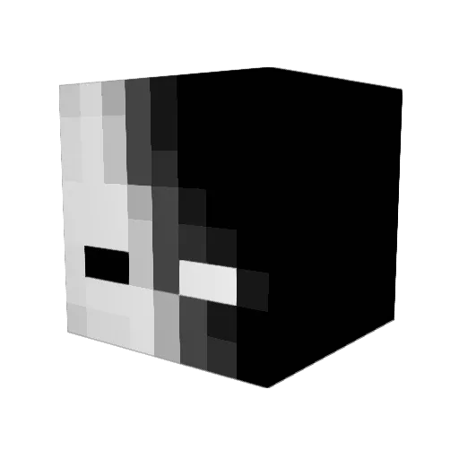 Sunjini Minecraft avatar head, 3D render