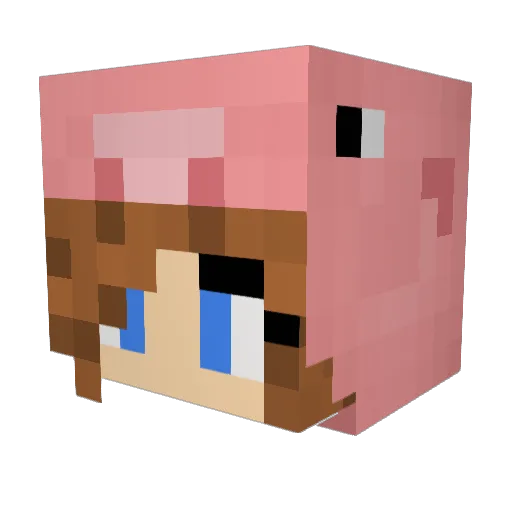 Sunk1ssed Minecraft avatar head, 3D render