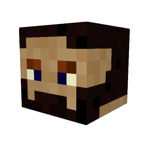 SunkenAmbition Minecraft avatar head, 3D render