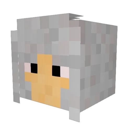 SunkenHope Minecraft avatar head, 3D render