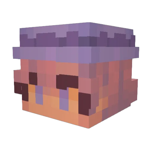 SunkissedFish Minecraft avatar head, 3D render