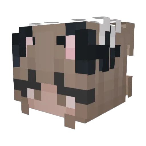 SunkissedStr Minecraft avatar head, 3D render