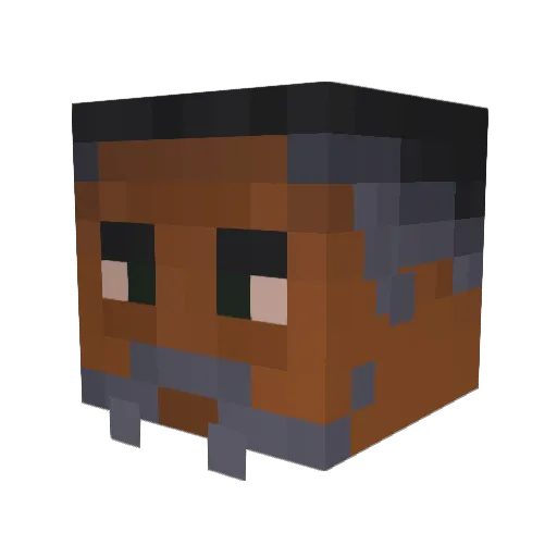 Sunlight_Solaire Minecraft avatar head, 3D render