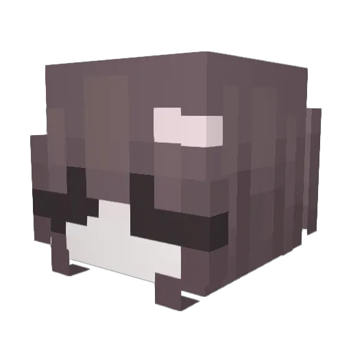 Sunll_ Minecraft avatar head, 3D render
