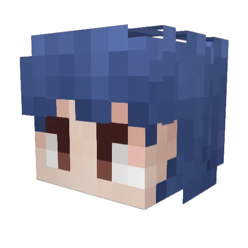 Sunn20000 Minecraft avatar head, 3D render