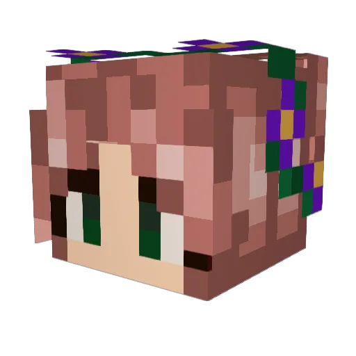 Sunni0204 Minecraft avatar head, 3D render