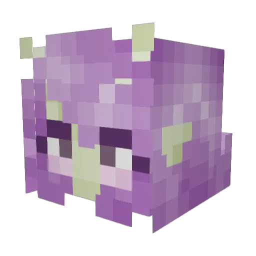 SunniBunnii Minecraft avatar head, 3D render