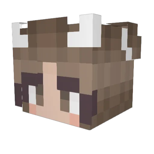 Sunniboi Minecraft avatar head, 3D render