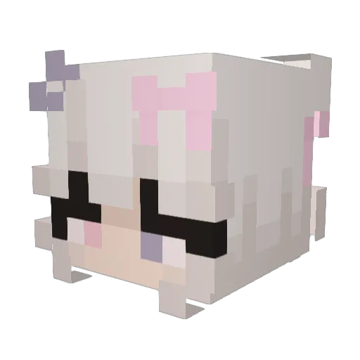 SunnieSay Minecraft avatar head, 3D render