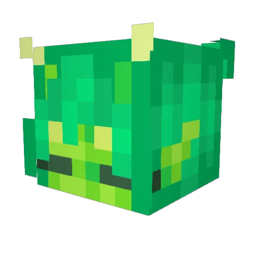 Sunnnny24 Minecraft avatar head, 3D render