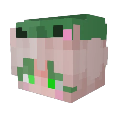 Sunntbubs Minecraft avatar head, 3D render