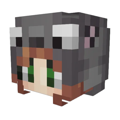 Sunny0929 Minecraft avatar head, 3D render
