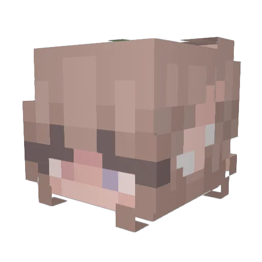 Sunny1506 Minecraft avatar head, 3D render