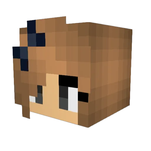 Sunny1705 Minecraft avatar head, 3D render