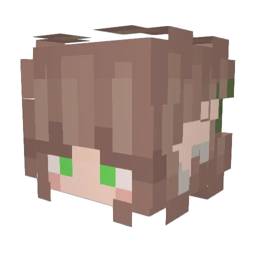 Sunny17811 Minecraft avatar head, 3D render