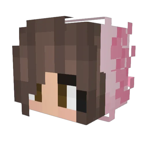 Sunny2101xx Minecraft avatar head, 3D render