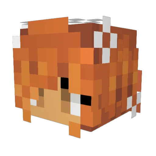Sunny230_ Minecraft avatar head, 3D render