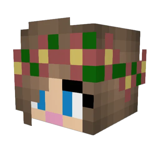 Sunny431 Minecraft avatar head, 3D render