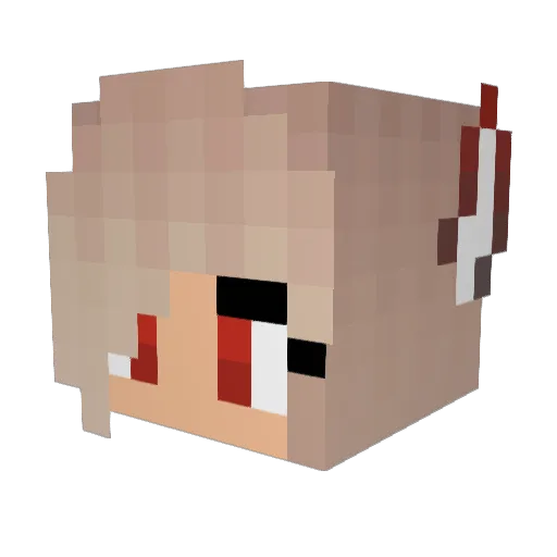 Sunny789 Minecraft avatar head, 3D render