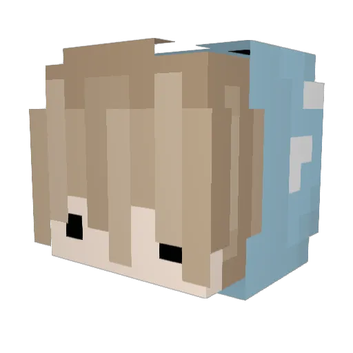 Sunny890910 Minecraft avatar head, 3D render