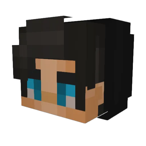 SunnyBestBoy Minecraft avatar head, 3D render