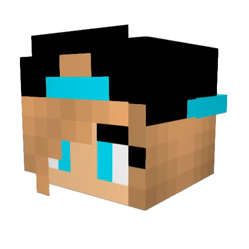 SunnyBloom Minecraft avatar head, 3D render