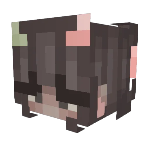SunnyBobaBee Minecraft avatar head, 3D render