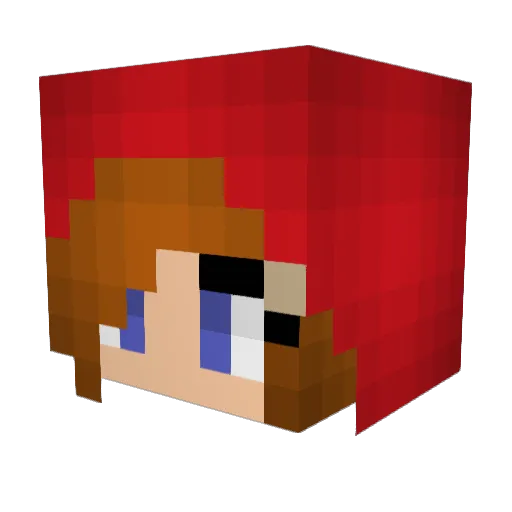 SunnyBr Minecraft avatar head, 3D render