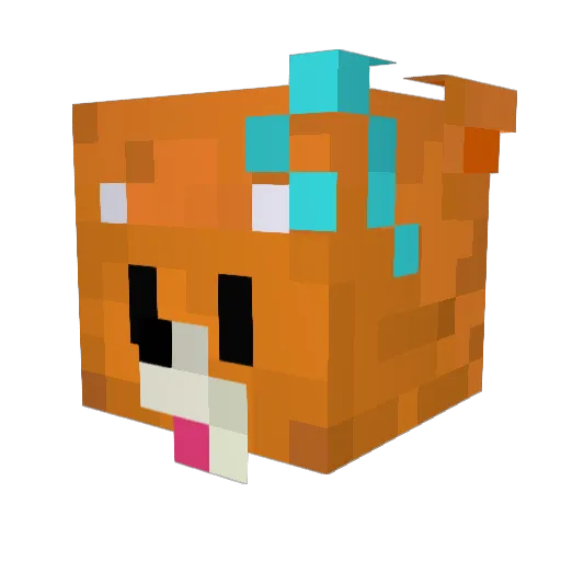 SunnyBunnyF Minecraft avatar head, 3D render