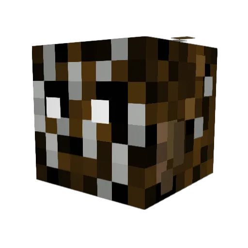 SunnyCopJones Minecraft avatar head, 3D render
