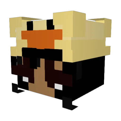 SunnyD52 Minecraft avatar head, 3D render