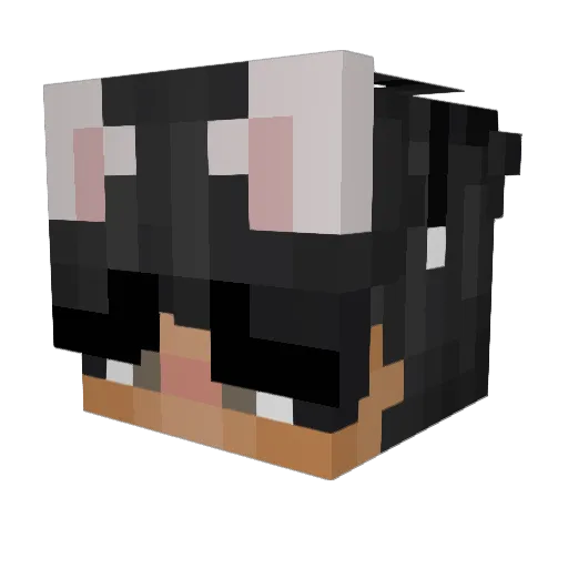 SunnyD691 Minecraft avatar head, 3D render