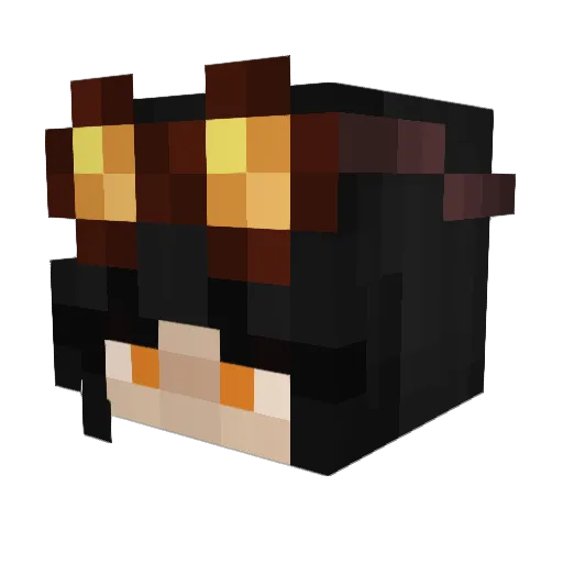 SunnyDaize Minecraft avatar head, 3D render