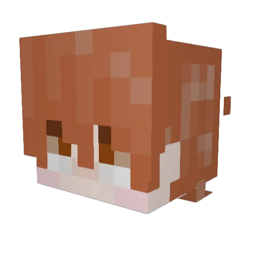 SunnyDays01 Minecraft avatar head, 3D render
