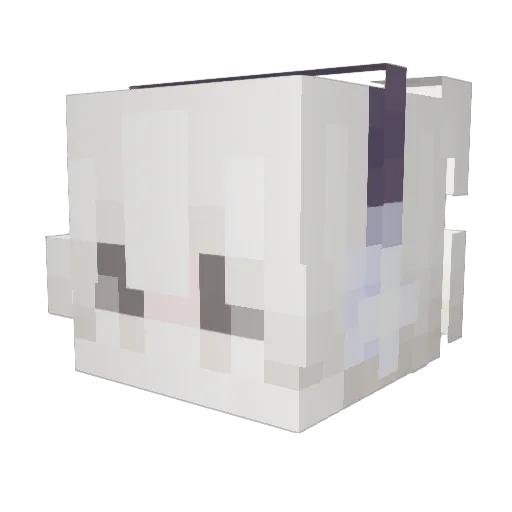 SunnyDelight76 Minecraft avatar head, 3D render