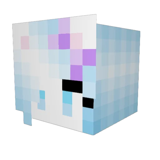 SunnyDisasters Minecraft avatar head, 3D render