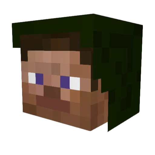 SunnyFlower22 Minecraft avatar head, 3D render