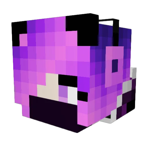 SunnyFoxes Minecraft avatar head, 3D render
